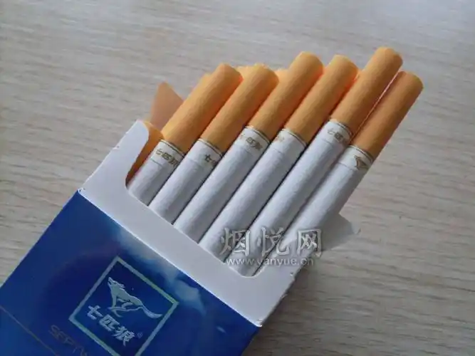 七匹狼(蓝)图集,七匹狼(蓝)图片,七匹狼(蓝)烟价格,七匹狼(蓝)香烟