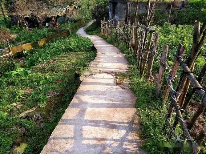 走在乡间的小路上下雨才知道路硬化的妙