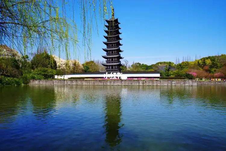 小红书的第一篇-2021年的春天