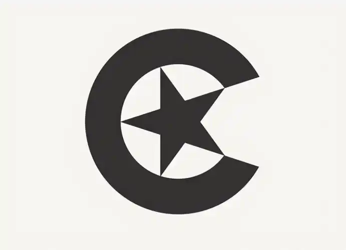 精选48款简约经典黑白色logo设计分享