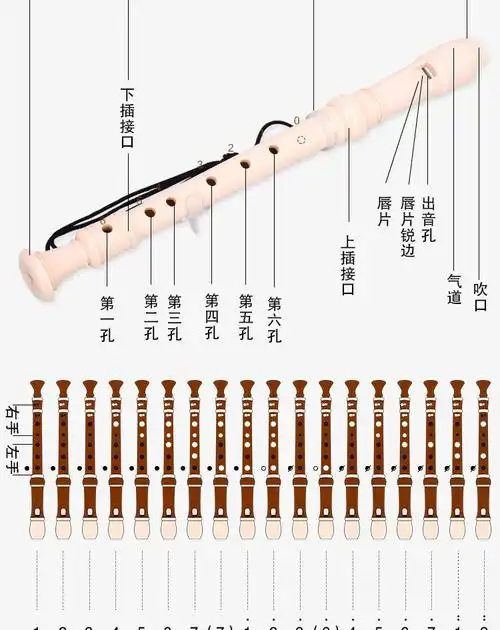 奇美高音德式竖笛6孔8孔初学入门儿童中小学生六孔八孔竖笛子学生课堂