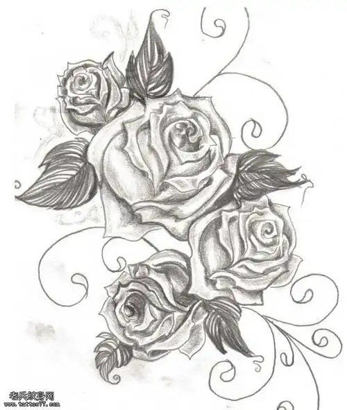 女生玫瑰腿部鹿肩部玫瑰纹身图案tag标签:玫瑰玫瑰花胸部花藤