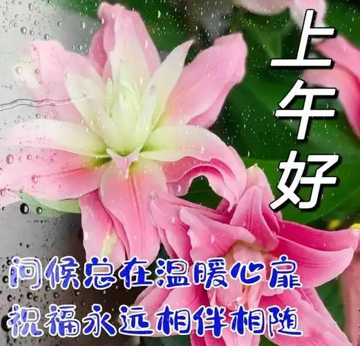 下午好图片带字祝福开心相伴快乐相随