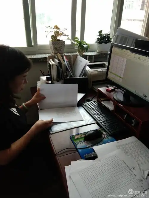 整理财务资料,进行归档