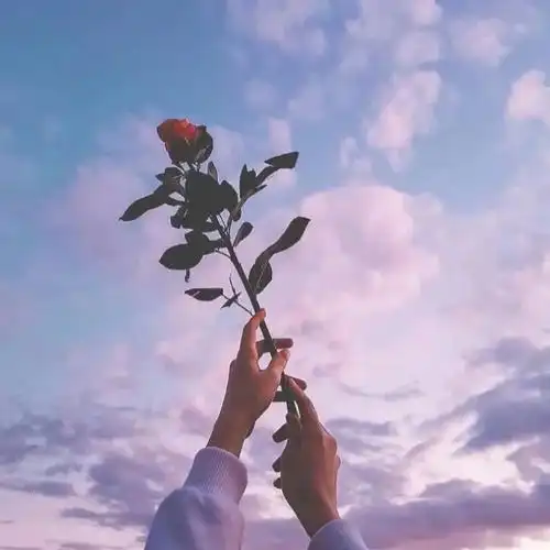 女人用了运气旺的头像图片大全 高清唯美女人好运吉祥微信头像顺风