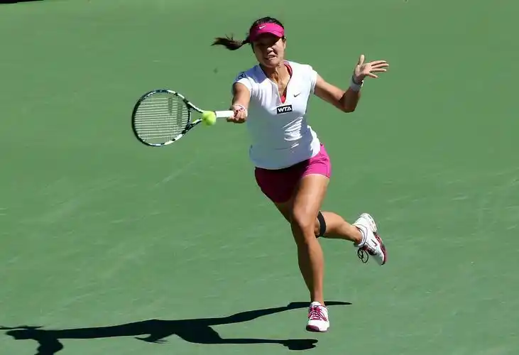 印第赛李娜20普利斯科娃晋级16强