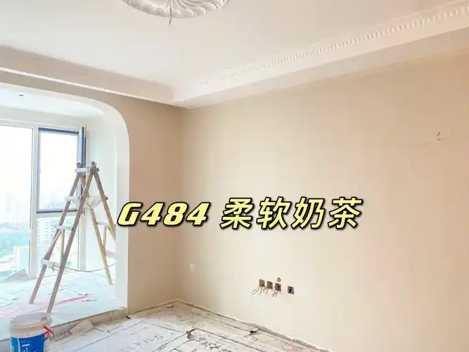 芬琳漆|g484奶茶色的家 极致温柔 yyds