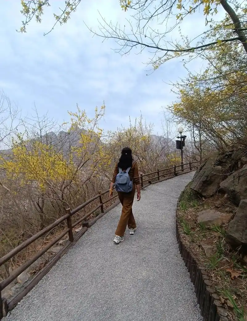 97来一组背影照片#景点打卡 #登上山顶看美景 #郁金香花海 - 抖音