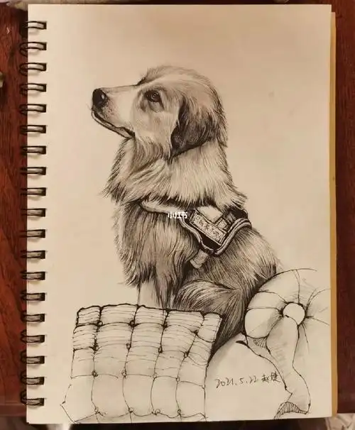素描狗狗