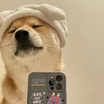 一组狗狗头像_微信头像_我要个性网