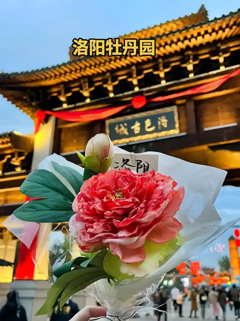 洛阳牡丹园花会就要开始了,全国各地的游客都会纷纷 - 抖音