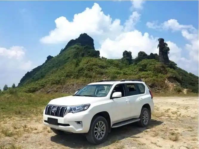 霸道为什么要买中东版 普拉多买中东版还是中规版【汽车时代网】