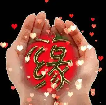 珍惜二字无论何等缘分属下等缘是可遇而无需求的有的缘分属中等缘是可