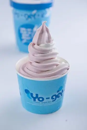 澳洲自助酸奶冰淇淋 甜筒 全国加盟热线:15850021435