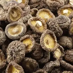 【金钱菇小香菇干500g图片】金钱菇小香菇干500g图片大全_好便宜网