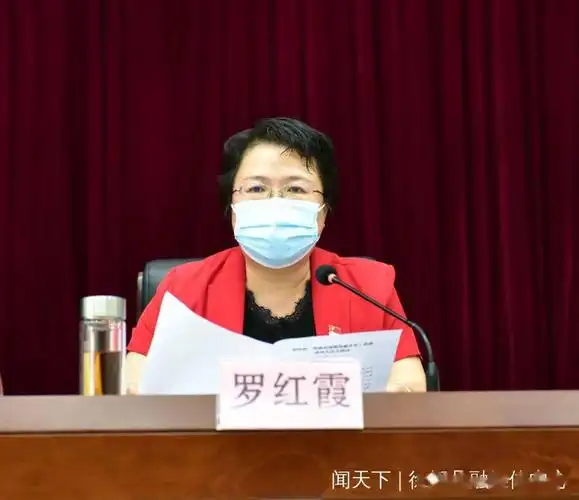 李汉东以更大决心更强力度更实举措整治提升徐闻营商环境