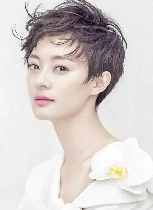 是这这些女明星们用短发诠释了多样的女性魅力,无论是职场女性的干练