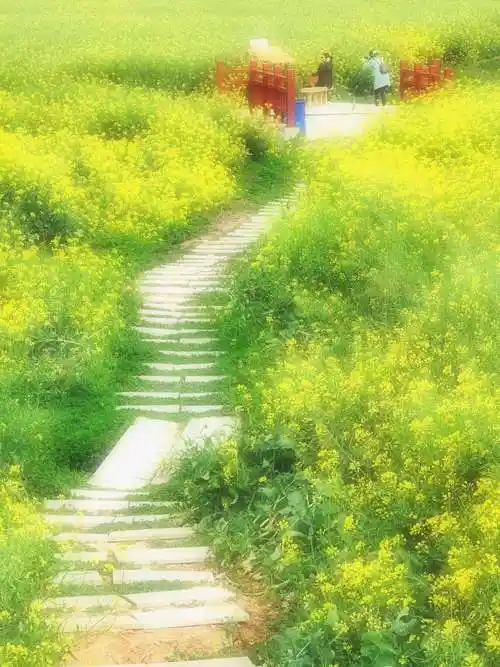 一条小路,伸向远方.