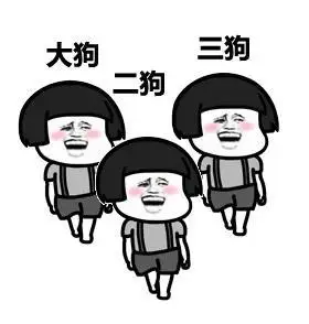 蘑菇头走路表情上面写着大狗 二狗 三狗什么意思