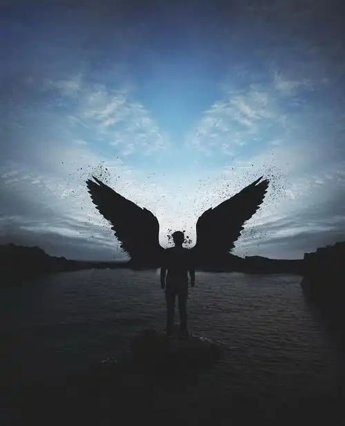 求一张壁纸 一个男的没穿上衣黑白的 有个翅膀