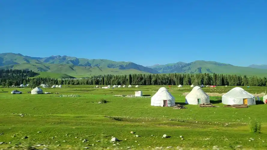 46m上传时间:2022-06-27壁纸标签:夏日花夏日小清新草原壁纸壁纸封面