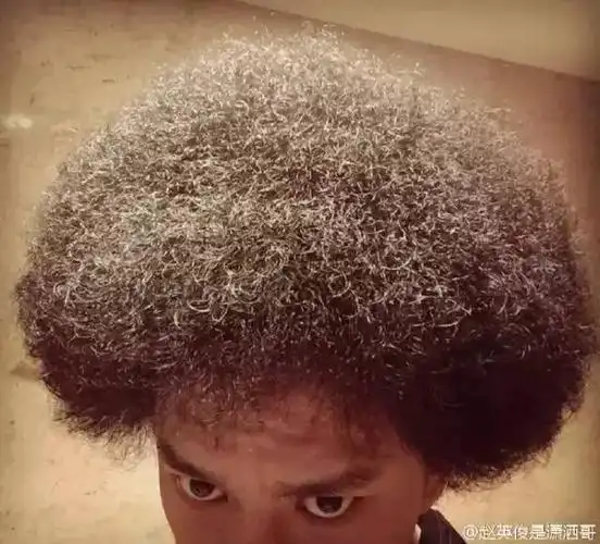 "自来卷"赵英俊:我不是票房神兽,我想做个好演员