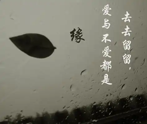 悲欢离合