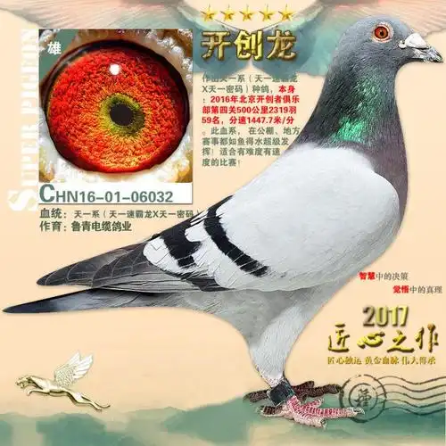 号:16-01-06032性 别:雄目 录:鲁青种鸽人 气:9453次血 统:天一速霸龙