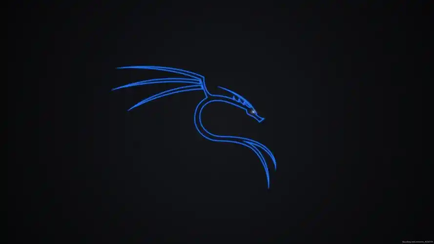 kali linux 2021壁纸_kali壁纸在哪个文件夹-csdn博客