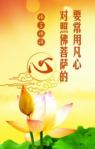 1603210202 智慧,人生美,韵,唯美,花,佛,禅,心灵,文化,文化,修养,境界