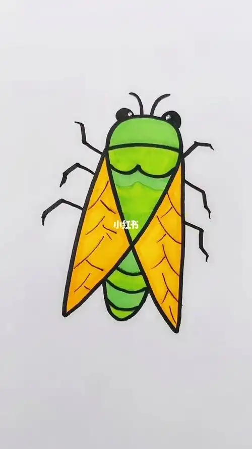 简笔画知了