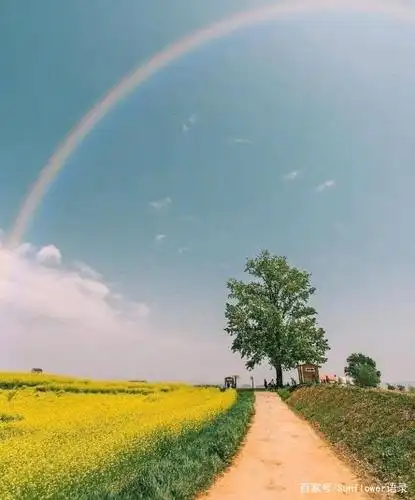 治愈心灵的唯美句子,启迪人生,温暖岁月!