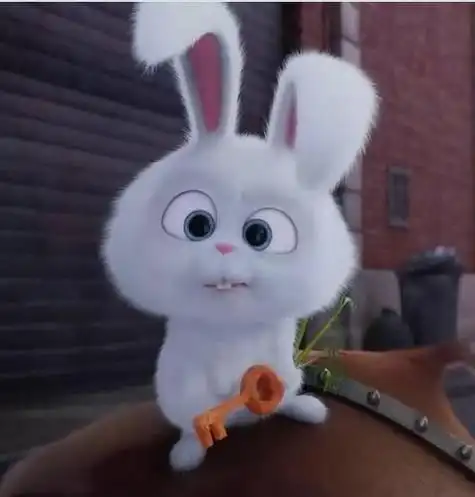 萌宠大机密的可爱动物头像 动物头像图片大全 -【爱个性】