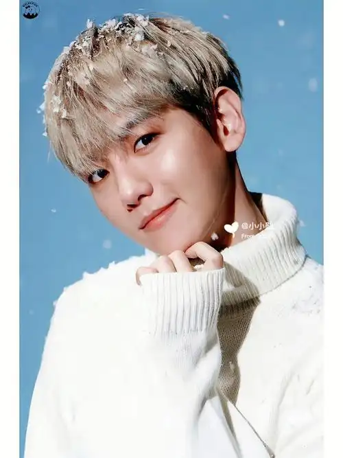 exo全员singforyou高清扫图壁纸