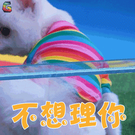 博美不想理你拒绝soogifsoogif出品gif动图_动态图_表情包下载_soogif