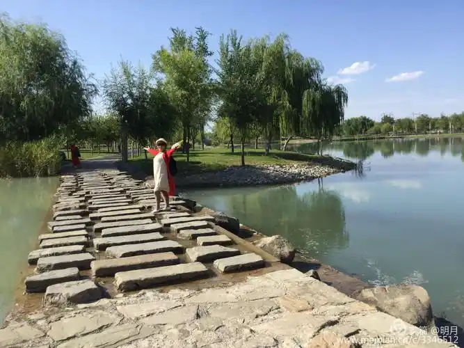 新疆呼图壁县石梯子乡的千亩花海,百花齐放美不胜收.