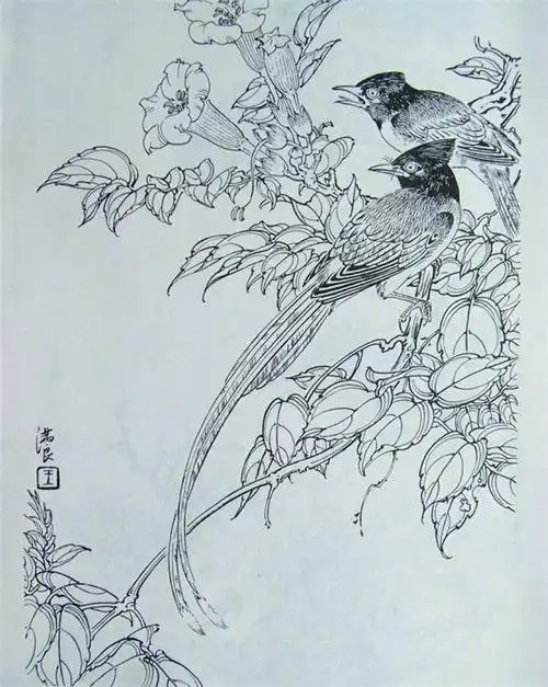 国画家王满良工笔白描花鸟稿(10p