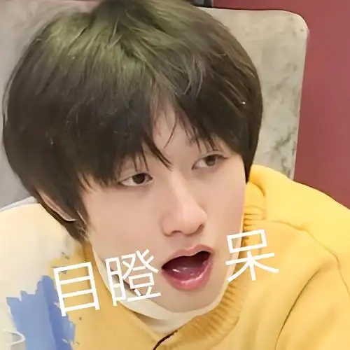 朱志鑫表情包分享楼