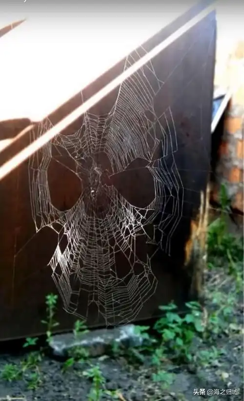 32张罕见的照片向你展示大自然可怕的另一面