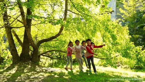 树下嬉戏玩耍的孩子,天真无邪,无忧无虑的童年时光.