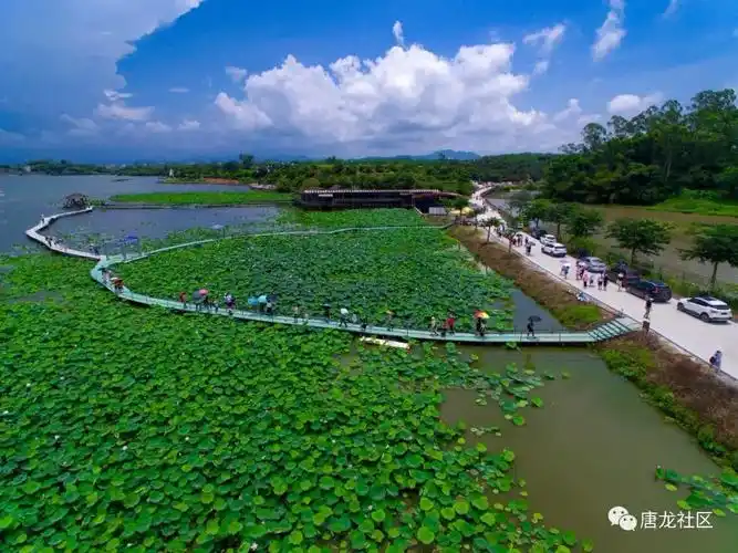 初夏,阳春岗美云山绿湖旅游度假村换了新装,景区处处热闹非凡,餐饮旅