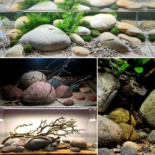 溪流原生鹅卵石造景素材鱼缸底砂石头南美缸河造景