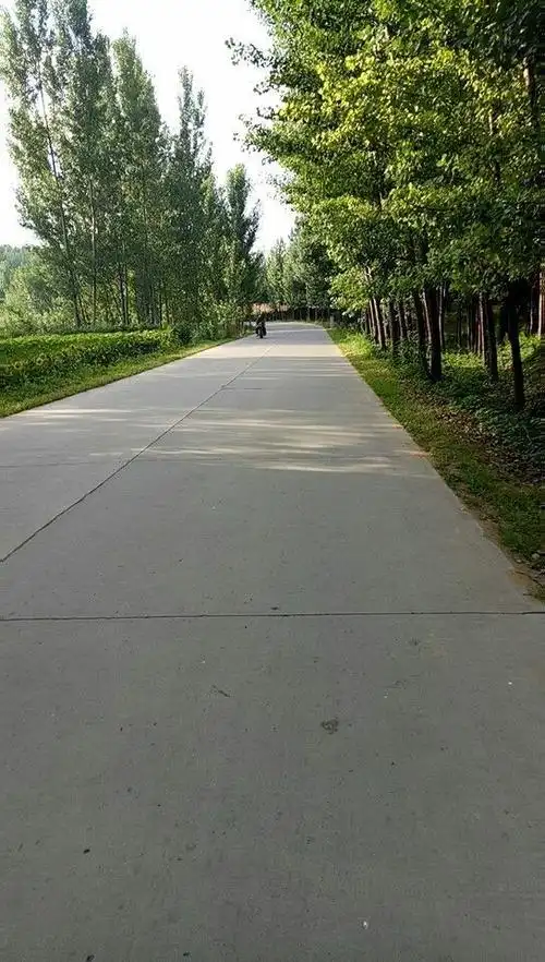 平山地方站对农村公路路域环境开展大整治活动.