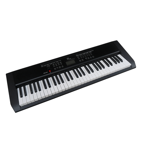 吟飞tb10061键专业电子琴
