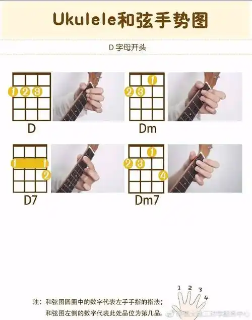 掌握了正确的和弦按法后,弹奏会更加得心应手.