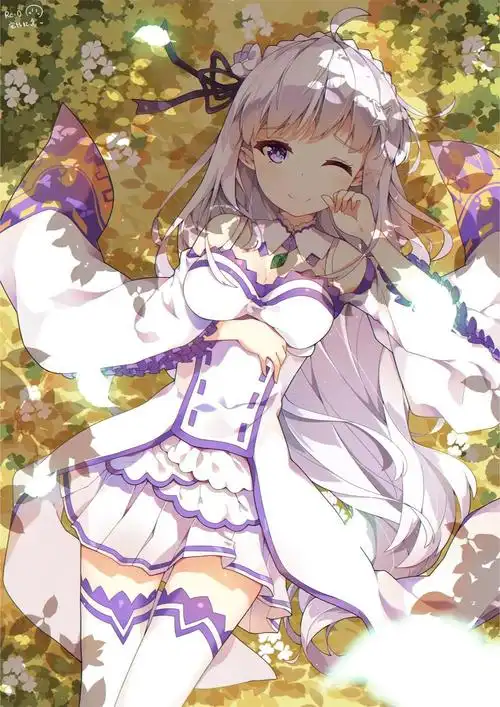 二次元美图分享第17期爱蜜莉雅