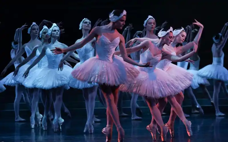 【芭蕾】1080p 全剧 努里耶夫版《天鹅湖》pob 2019年