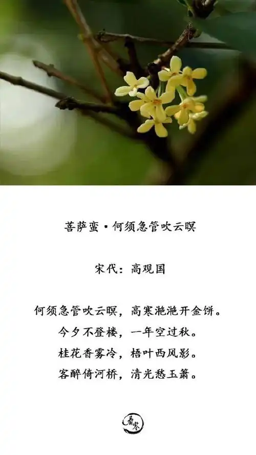 桂花诗词,桂花诗词朗诵(九首古诗词带你去看看诗人们是如何吟咏桂花)