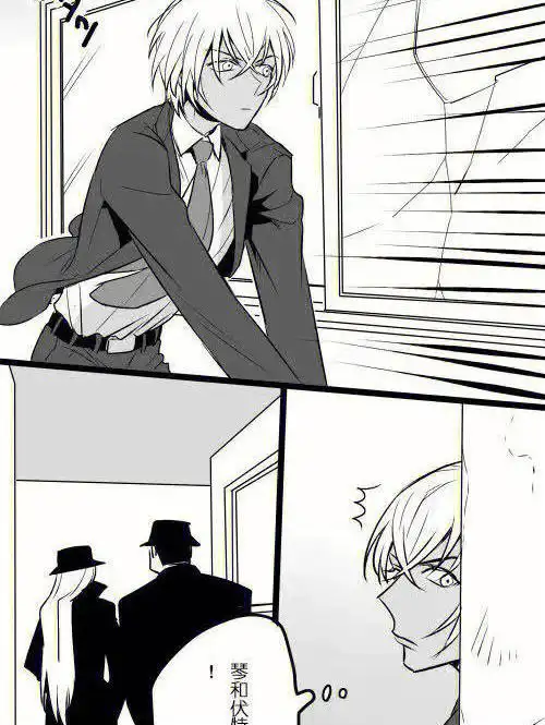 安室透和赤井秀一