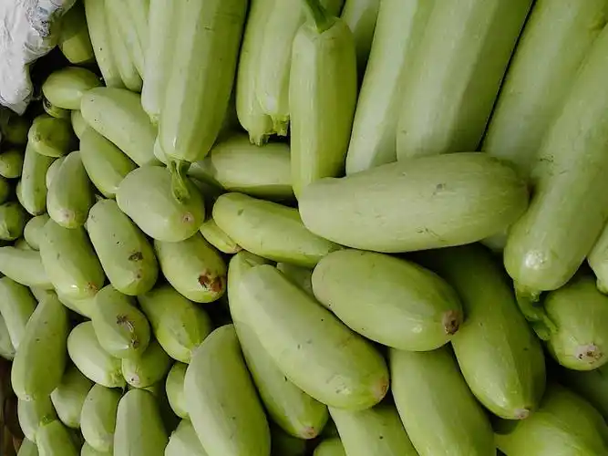 寿光蔬菜网 -欢迎加入寿光蔬菜网!